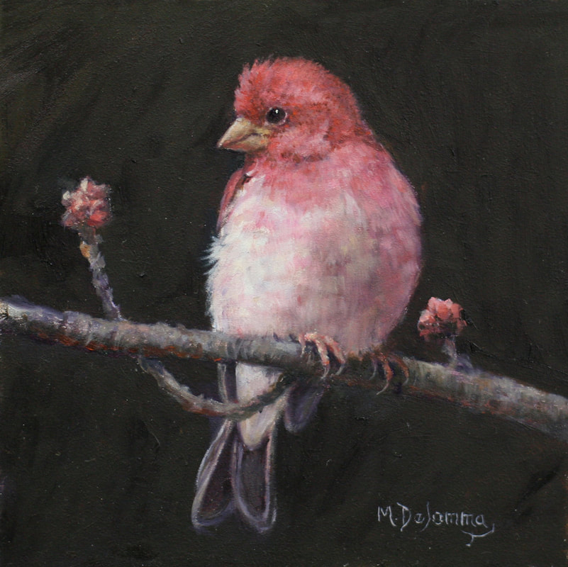 finch Painting by Mally DeSomma