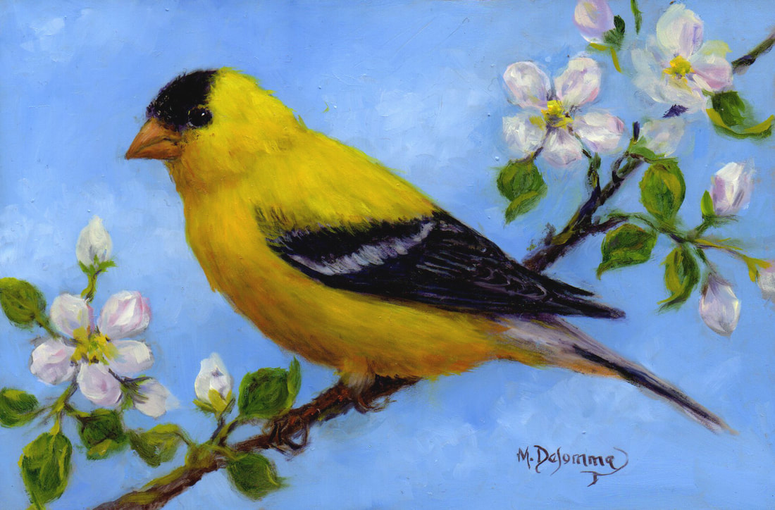 Yellow Bird on branch with white flowers painting by Mally DeSomma