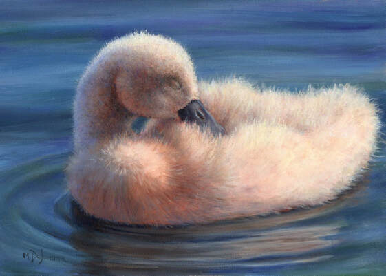 swan sleeping on blue pond with ripples oil painting by Mally DeSomma