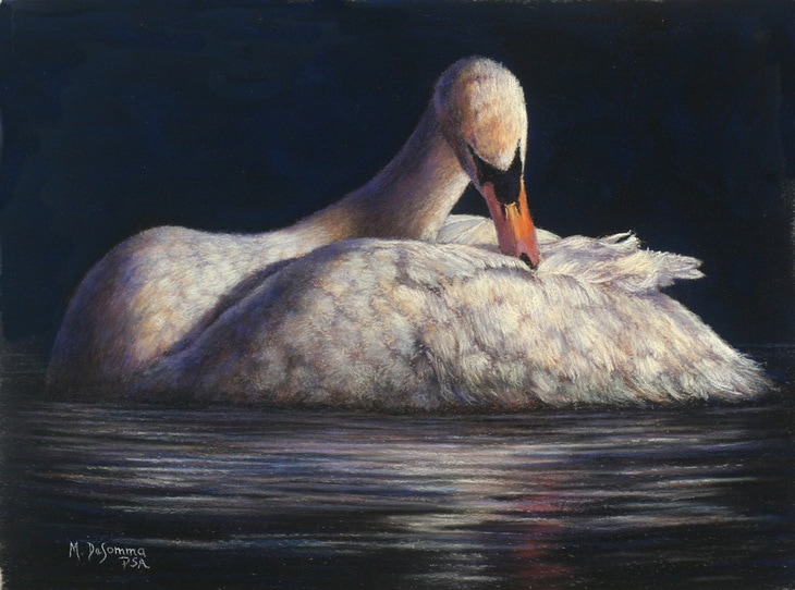 swan painting by Mally DeSomma