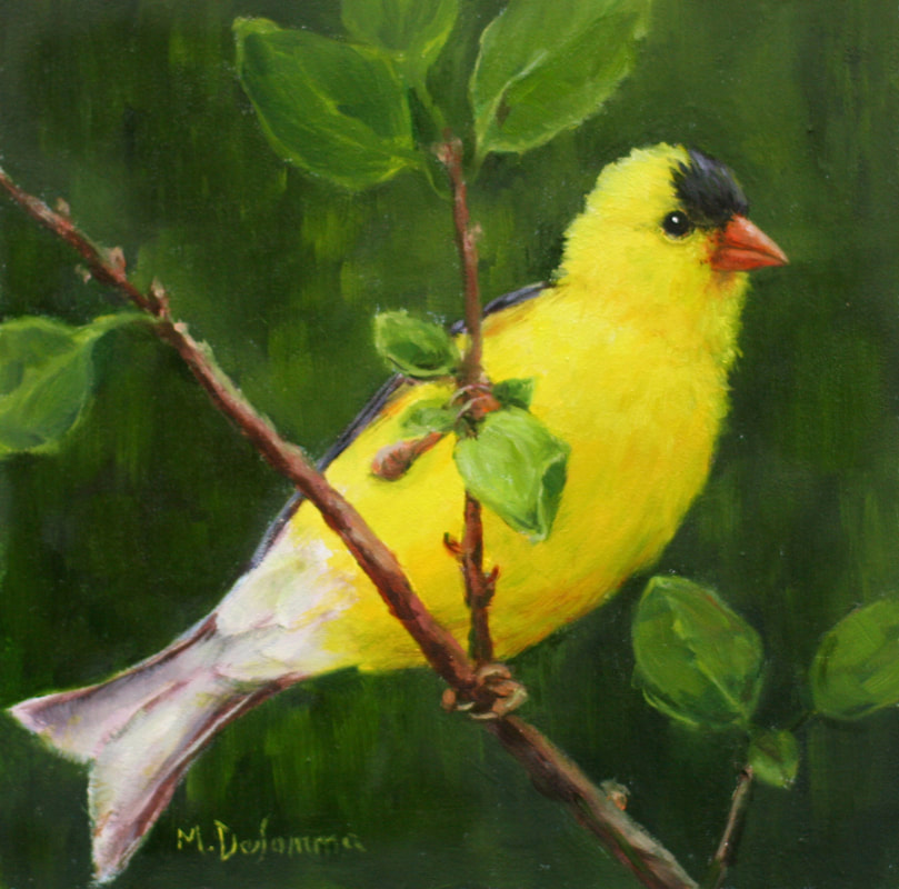 Goldfinch painting by Mally DeSomma